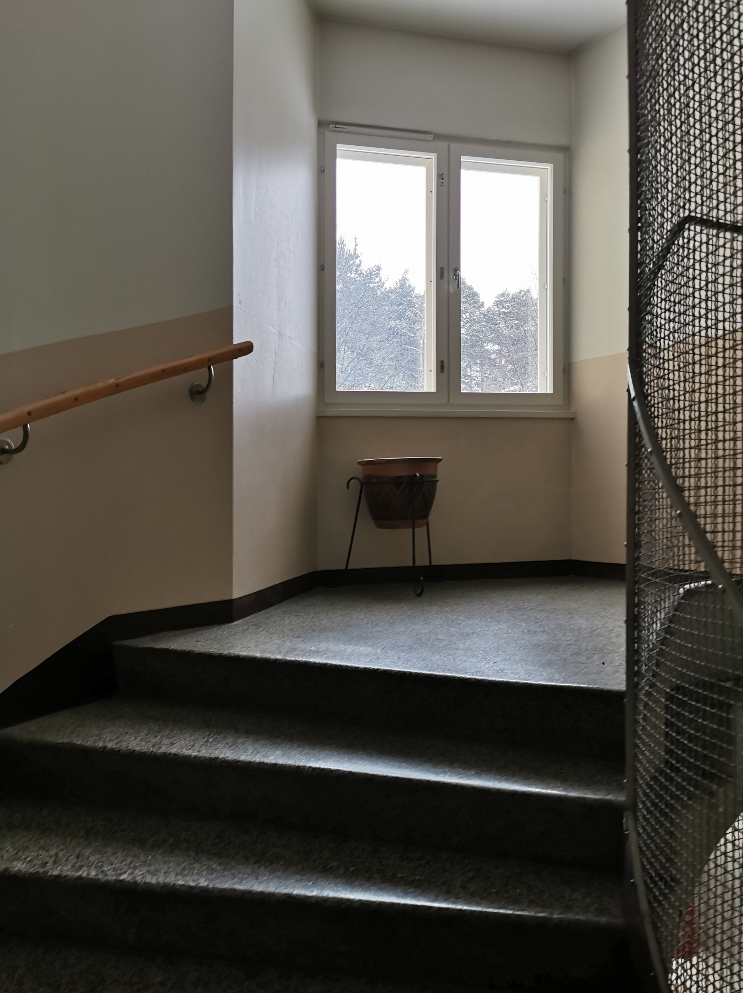 Minimalistinen valkoinen eteinen suurella viherkasvilla ja puulattialla, taloyhtiön yhteistila